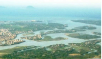 Hình minh họa_P.H