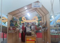 Gian hàng trưng bày, giới thiệu sản phẩm OCOP tiêu biểu của tỉnh Gia Lai tại Festival OCOP Việt Nam 2025. Ảnh: ĐVCC