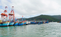Gia Lai sẽ khảo sát và đề xuất hỗ trợ chi phí nhiên liệu cho ngư dân khi giá dầu tăng cao.