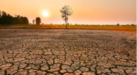 Chủ động ứng phó nguy cơ thiếu nước do ảnh hưởng của El Niño
