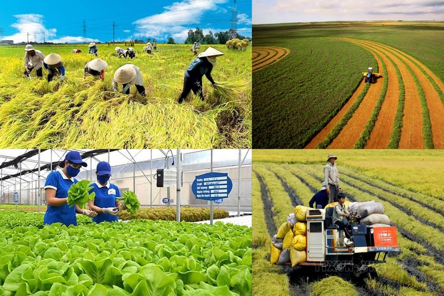 Đẩy mạnh cải cách hành chính trong lĩnh vực nông nghiệp và môi trường góp phần tạo lập môi trường đầu tư thông thoáng, minh bạch hơn cho nền kinh tế. Ảnh: Minh họa.