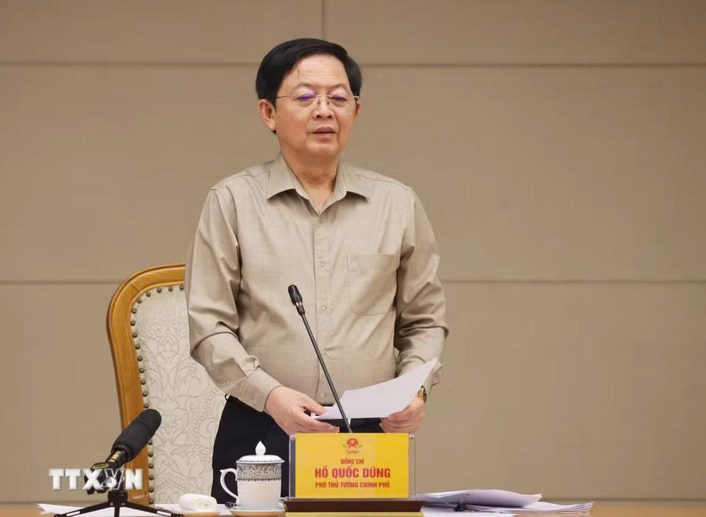Phó Thủ tướng Chính phủ Hồ Quốc Dũng phát biểu chỉ đạo